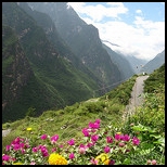 Retirement and Hiking-Tiger Leaping Gorge