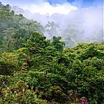 Costa Rica, photo by Gunther Wegner, cc