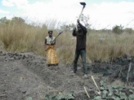 volunteering in Zambia when retired, preparing the garden
