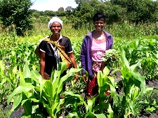 volunteering in Zambia when retired, Headwoman farming 