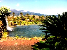 Retire in La Palma, Canary Islands
