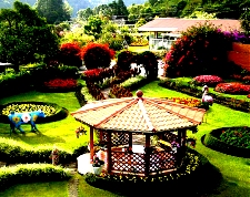 Retire in Panama, Boquete gardens