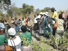 volunteering in Zambia when retired, Irrigation pumps arrive 