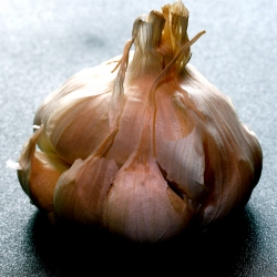Retirement healthy eating garlic