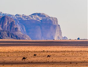 Retirement travel to Wadi Rum Jordan