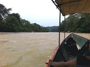 Retirement and volunteering in the Ecuadorean Amazon