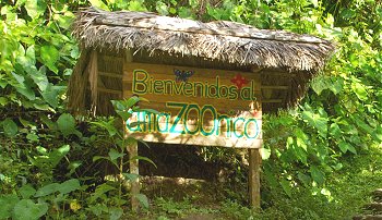 Retirement and volunteering in the Ecuadorean Amazon