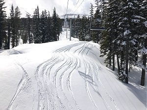 Retirement skiing 